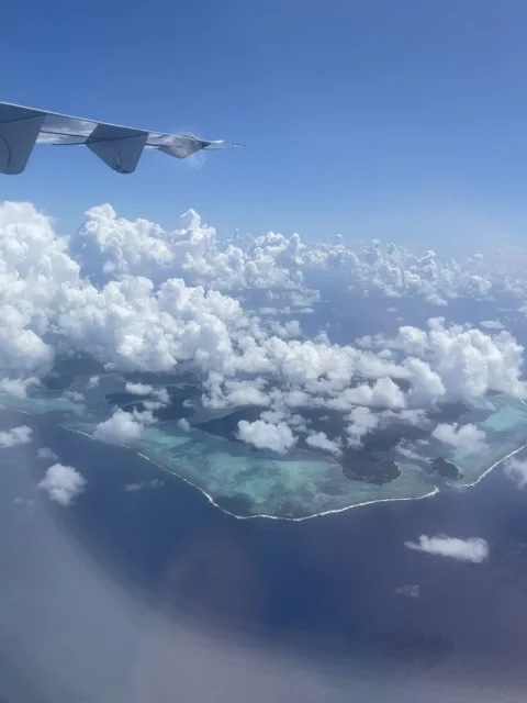 Polynésie flight Stock Footage 319440994