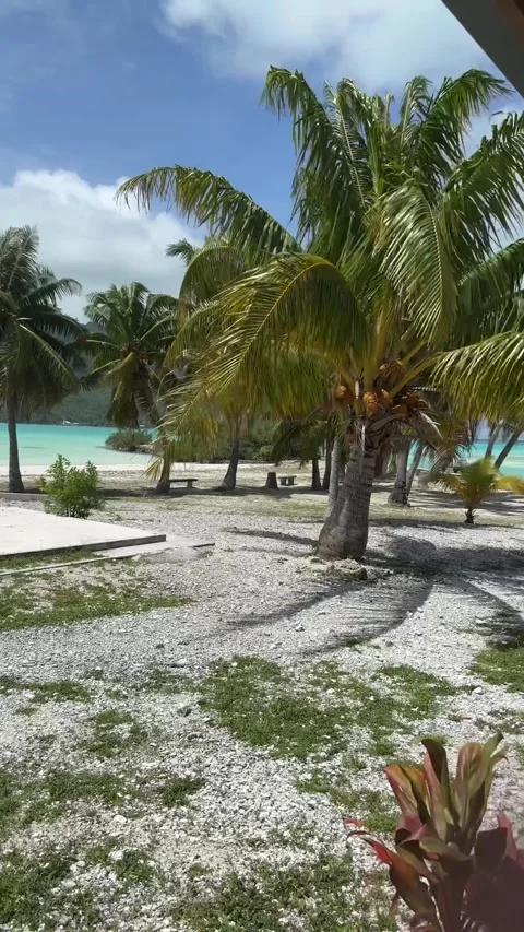 Polynésie maupiti Stock Footage 319440513