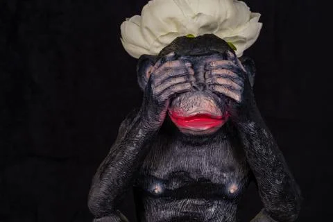 Polystone resin statue of monkey. Close up concept I don't see a Stock Photos