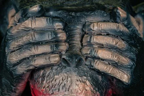 Polystone resin statue of monkey face. Close up concept I don't Stock Photos