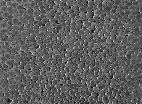 Polystyrene closeup Full frame closeup of a grey Polystyrene surface Copyr... Stock Photos