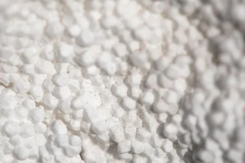 Polystyrene foam. White background. Stock Photos
