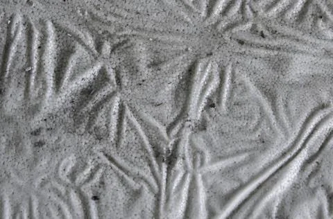 Polystyrene Stock Photos