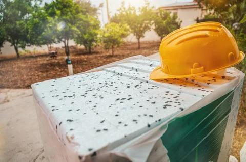 Polystyrene thermal cladding for energy saving on a new house Stock Illustration