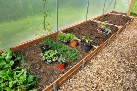 Polytunnel Construction. Stock Photos