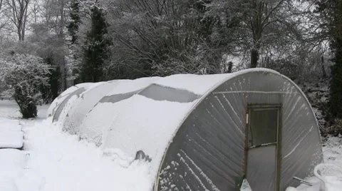 A polytunnel covered in snow Stock-Footage 20493868
