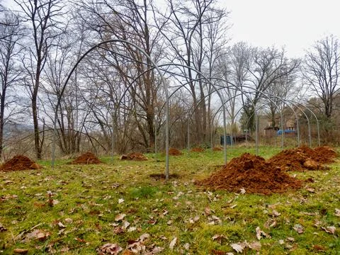 Polytunnel under construction Stock Photos
