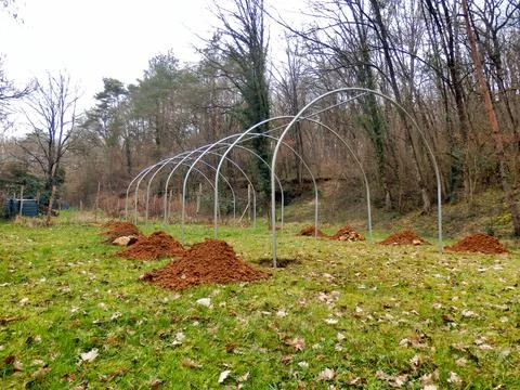 Polytunnel under construction. Stock Photos