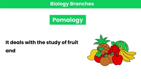 Pomalogy Stock Footage 276281441
