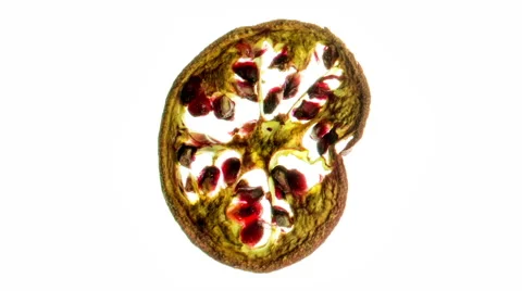 Pomegranate 1 time lapse a slice of a pomegranate fruit Stock Footage 65225442