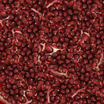 Pomegranate and grain Stock Illustration