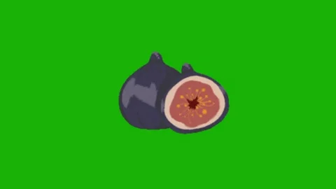 Pomegranate animation on green background 動画素材 329969802