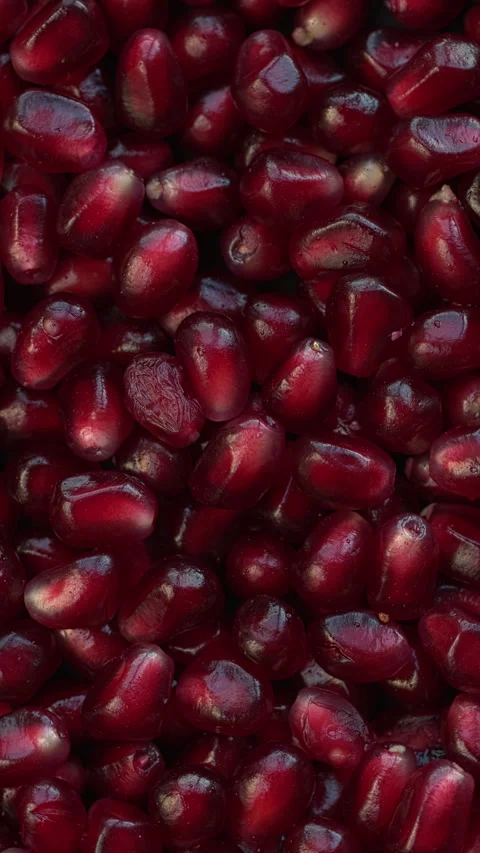 Pomegranate arils background. Vertical video. Stock Footage 283728747