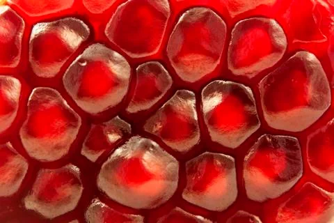 Pomegranate arils Stock Photos
