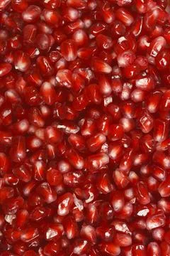 Pomegranate arils Stock Photos