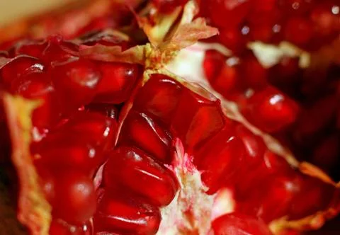 Pomegranate background Stock Photos
