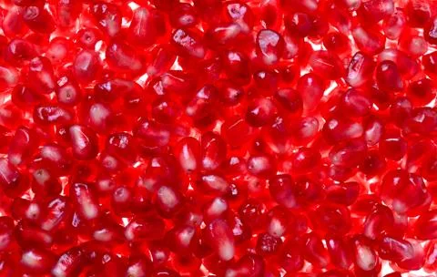 Pomegranate background Stock-Fotos
