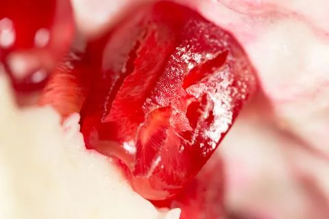 Pomegranate as a background. super macro Stock Photos