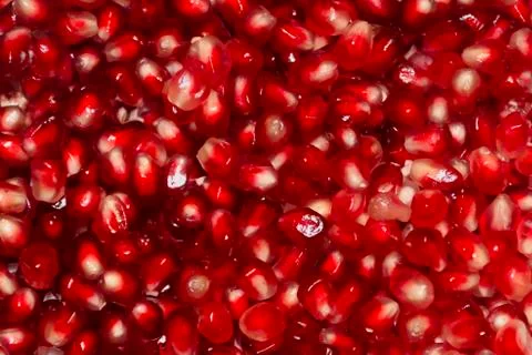 Pomegranate berries background. Bright appetizing pomegranate berries backgro Stock Photos