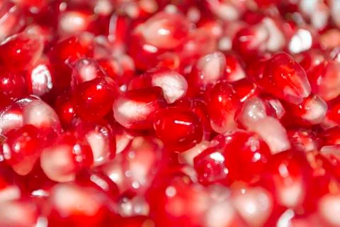 Pomegranate berries background. Bright appetizing pomegranate berries backgro Stock Photos