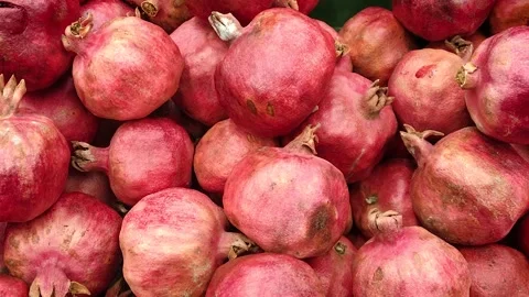 Pomegranate in a Box Stock Footage 258750190