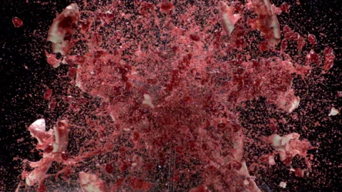 Pomegranate Burst 動画素材 249449288