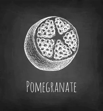 Pomegranate chalk sketch. Stock Illustration