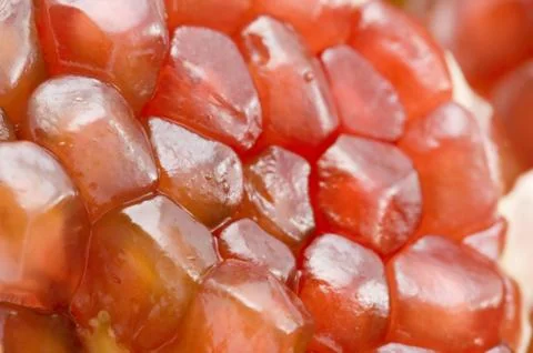 Pomegranate close-up Foto stock