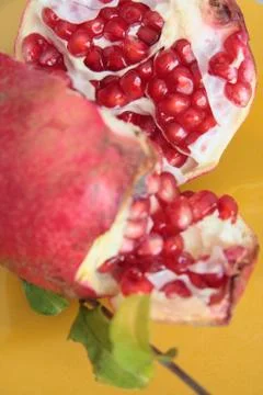 Pomegranate close up 写真素材