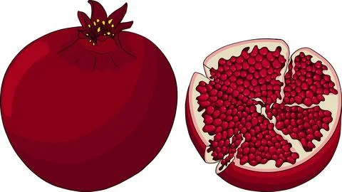 Pomegranate colored vector illustration on white background. Stock Illustration