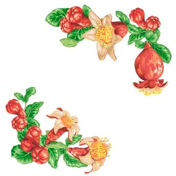 Pomegranate corner frame decorative elements Stock Illustration