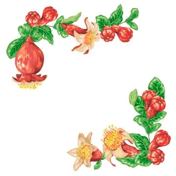 Pomegranate corner frame decorative elements Stock Illustration