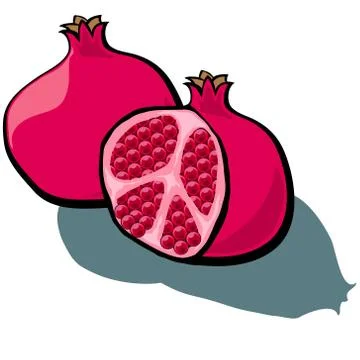 Pomegranate Cut Illustrazione stock