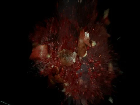 Pomegranate Explodes Closeup Stock Footage 77781998