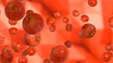 Pomegranate Stock Footage 95830212