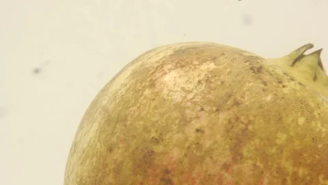 Pomegranate Stock Footage 118115221