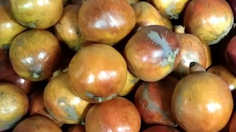 Pomegranate Stock Footage 127111334