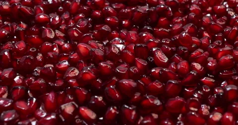 Pomegranate. Stock Footage 236270987