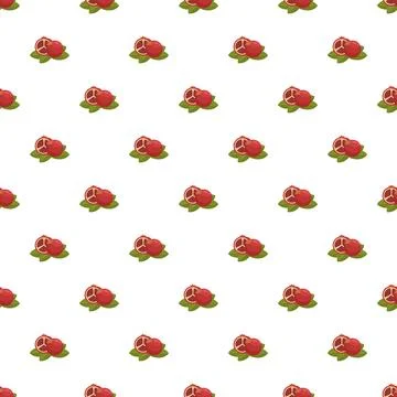 Pomegranate fruit and leaf repeating pattern background Stockillustratie