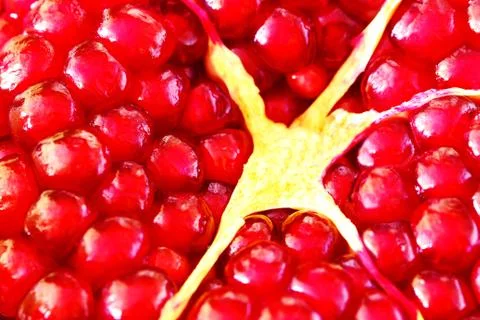Pomegranate fruit close up macro Foto stock