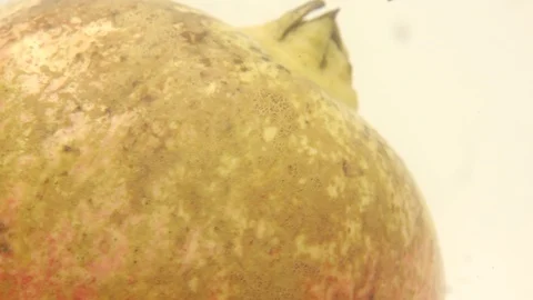 Pomegranate fruit cut Stock Footage 118115171