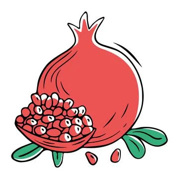 Pomegranate fruit drawn in doodle style. Vector illustration Stock Illustration