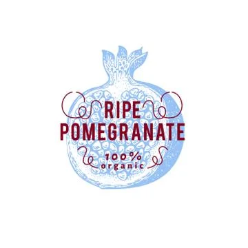 Pomegranate fruit. Hand drawn vector fruit illustration. Engraved style vintage Stock Illustration