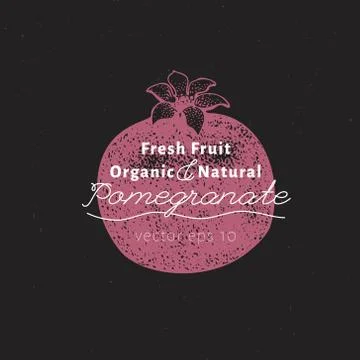 Pomegranate fruit. Hand drawn vector fruit illustration on chalk board. Engraved Stock Illustration