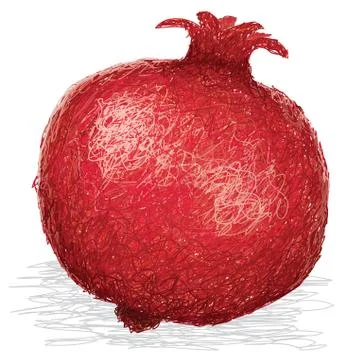 Pomegranate fruit Stock Illustration