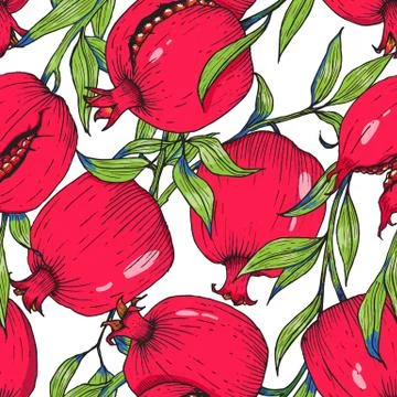 Pomegranate fruit pattern Stock Illustration