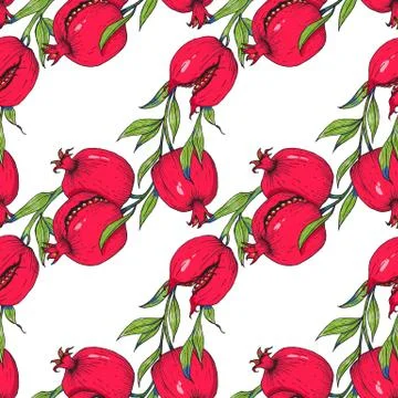 Pomegranate fruit pattern Stock Illustration