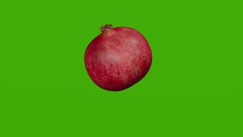 Pomegranate fruit rotates on the green screen Stock Footage 279080399