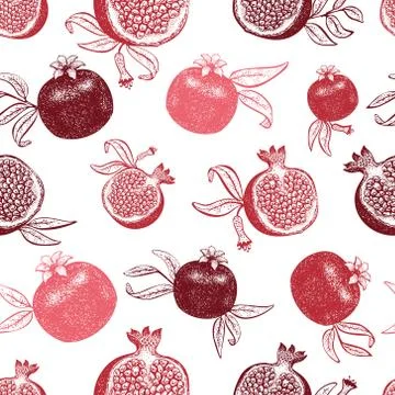 Pomegranate fruit seamless pattern. Hand drawn vector fruit illustration. Eng Stock Illustration