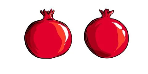 Pomegranate fruit side view. Colored exotic pomegranate fruit. Vector Stock-Illustration